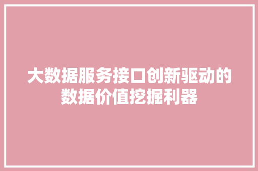 大数据服务接口创新驱动的数据价值挖掘利器
