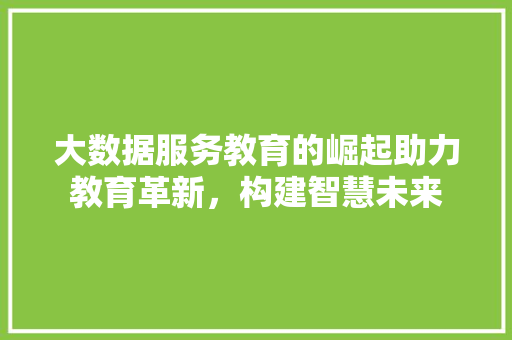 大数据服务教育的崛起助力教育革新，构建智慧未来