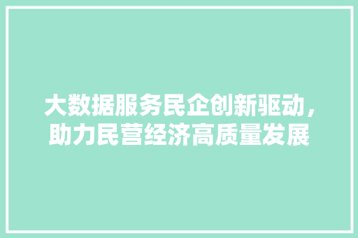 大数据服务民企创新驱动，助力民营经济高质量发展