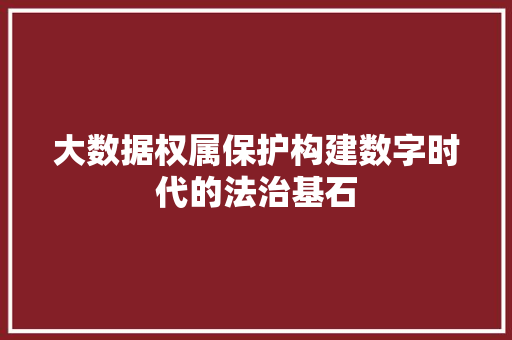 大数据权属保护构建数字时代的法治基石