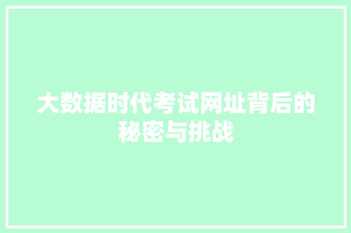 大数据时代考试网址背后的秘密与挑战