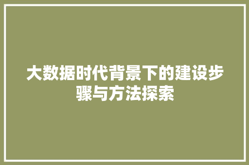 大数据时代背景下的建设步骤与方法探索