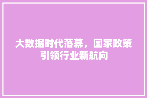 大数据时代落幕，国家政策引领行业新航向