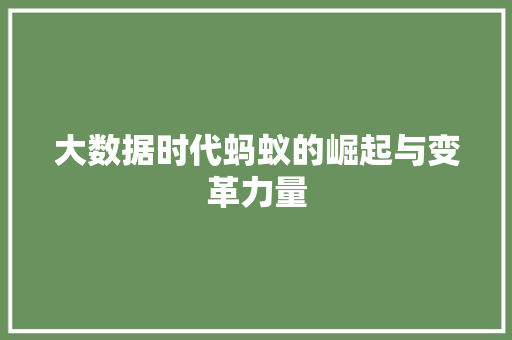 大数据时代蚂蚁的崛起与变革力量