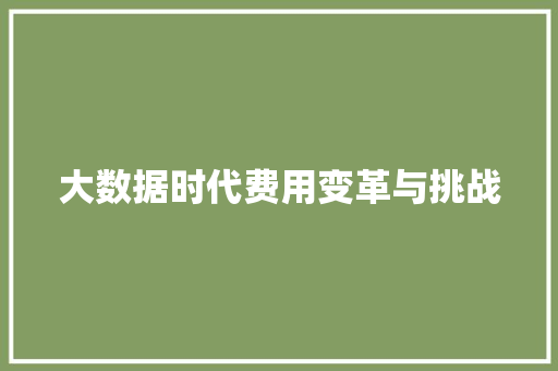 大数据时代费用变革与挑战