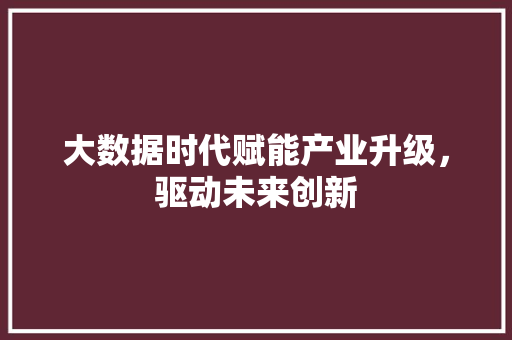 大数据时代赋能产业升级，驱动未来创新