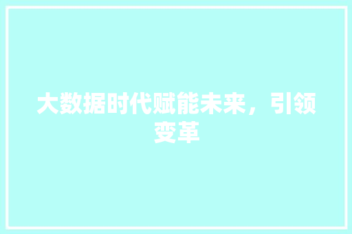 大数据时代赋能未来，引领变革