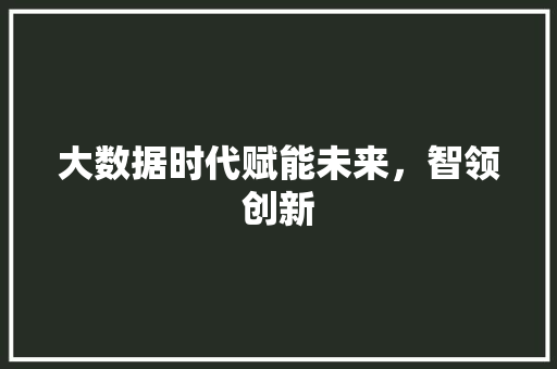 大数据时代赋能未来，智领创新