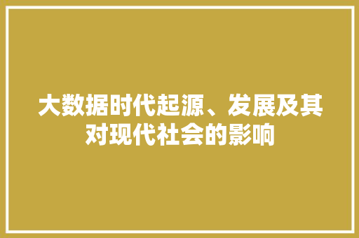 大数据时代起源、发展及其对现代社会的影响