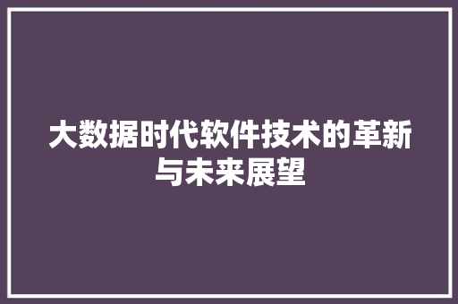 大数据时代软件技术的革新与未来展望