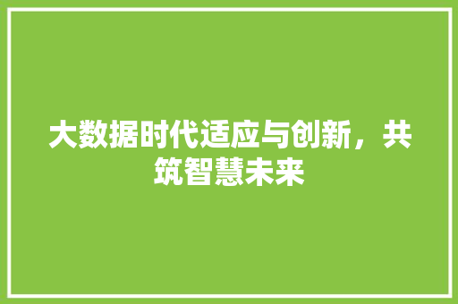 大数据时代适应与创新，共筑智慧未来