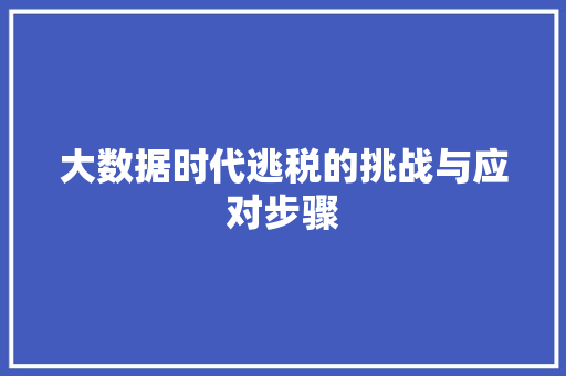 大数据时代逃税的挑战与应对步骤