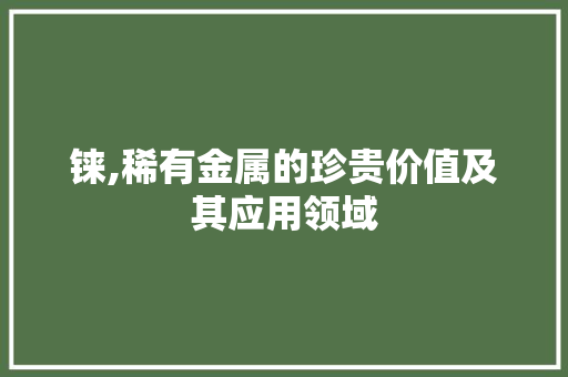 铼,稀有金属的珍贵价值及其应用领域 后端技术