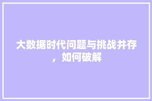 大数据时代问题与挑战并存，如何破解