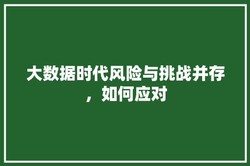 大数据时代风险与挑战并存，如何应对
