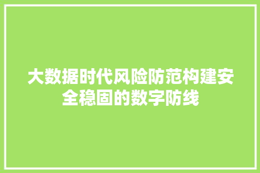 大数据时代风险防范构建安全稳固的数字防线