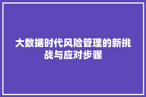 大数据时代风险管理的新挑战与应对步骤