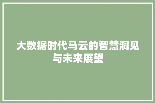 大数据时代马云的智慧洞见与未来展望