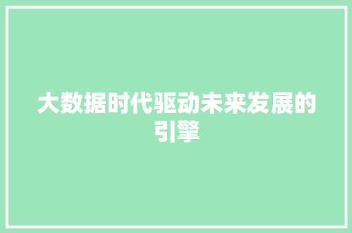 大数据时代驱动未来发展的引擎