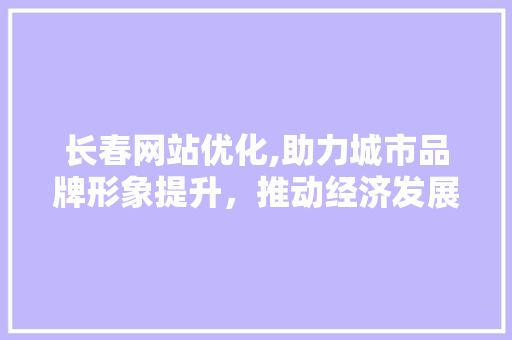 长春网站优化,助力城市品牌形象提升，推动经济发展