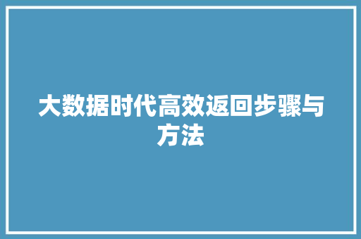 大数据时代高效返回步骤与方法