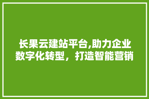 长果云建站平台,助力企业数字化转型，打造智能营销新生态