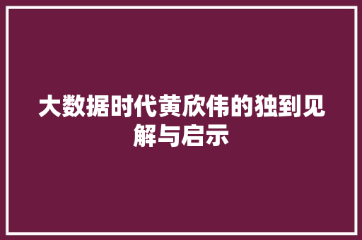 大数据时代黄欣伟的独到见解与启示
