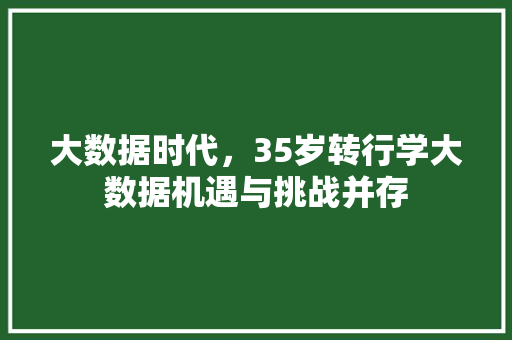 大数据时代，35岁转行学大数据机遇与挑战并存