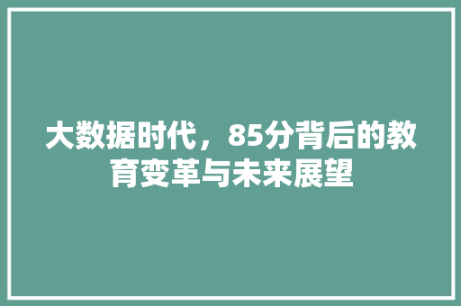 大数据时代，85分背后的教育变革与未来展望
