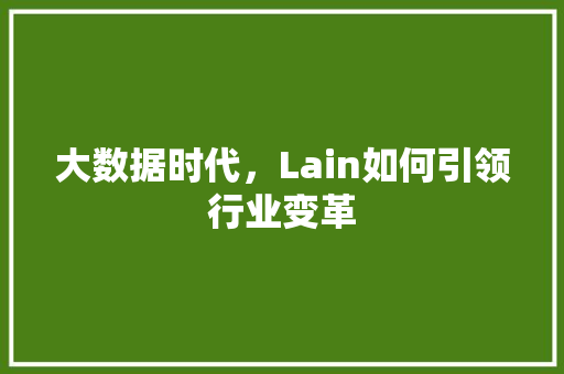 大数据时代，Lain如何引领行业变革