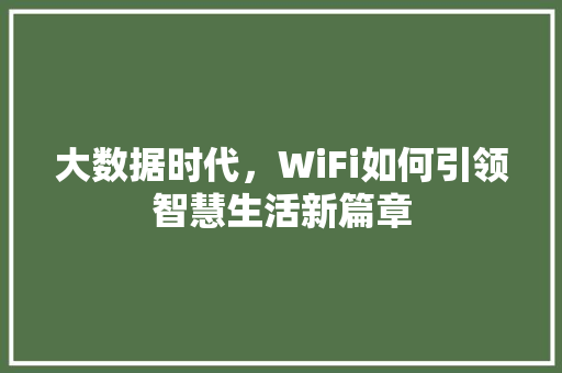 大数据时代，WiFi如何引领智慧生活新篇章