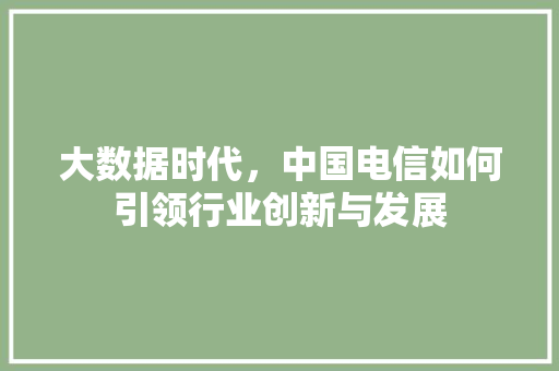 大数据时代，中国电信如何引领行业创新与发展