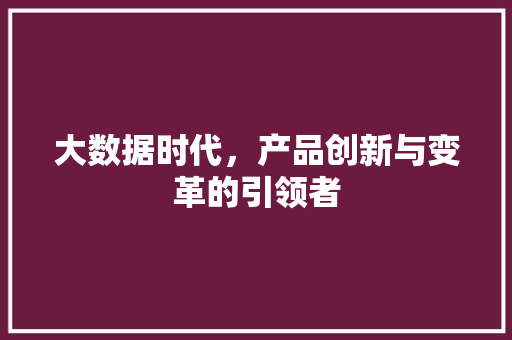 大数据时代，产品创新与变革的引领者