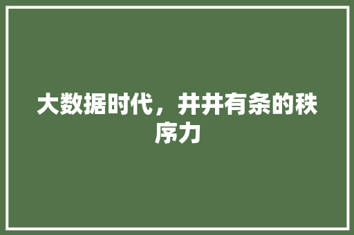 大数据时代，井井有条的秩序力