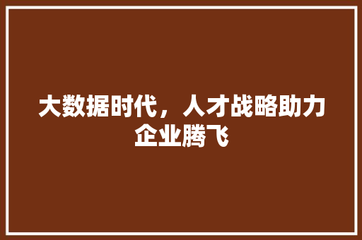 大数据时代，人才战略助力企业腾飞