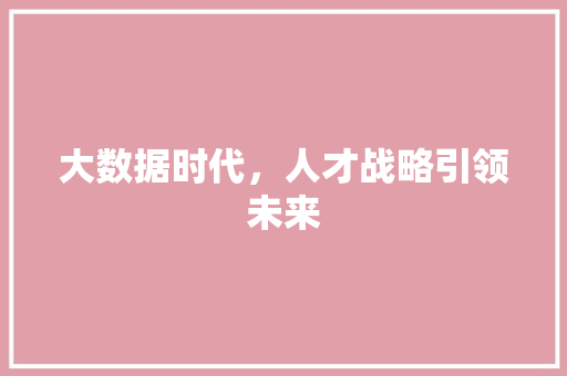大数据时代，人才战略引领未来