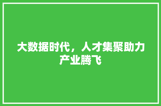 大数据时代，人才集聚助力产业腾飞