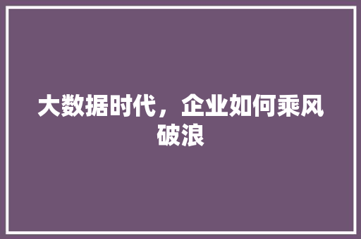 大数据时代，企业如何乘风破浪