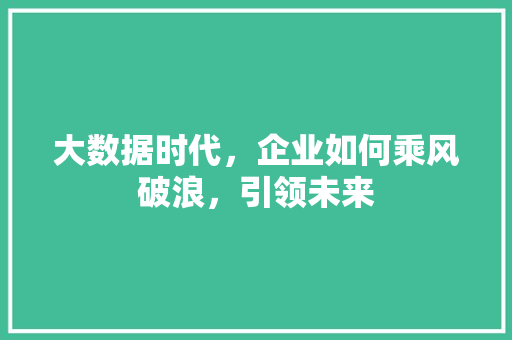 大数据时代，企业如何乘风破浪，引领未来