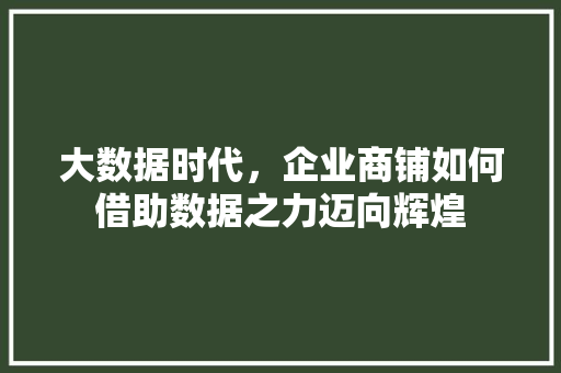 大数据时代，企业商铺如何借助数据之力迈向辉煌