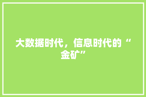大数据时代，信息时代的“金矿”