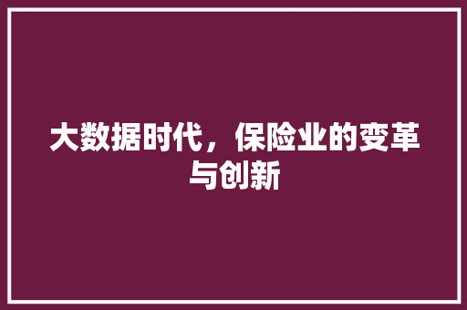 大数据时代，保险业的变革与创新