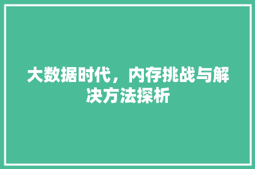 大数据时代，内存挑战与解决方法探析