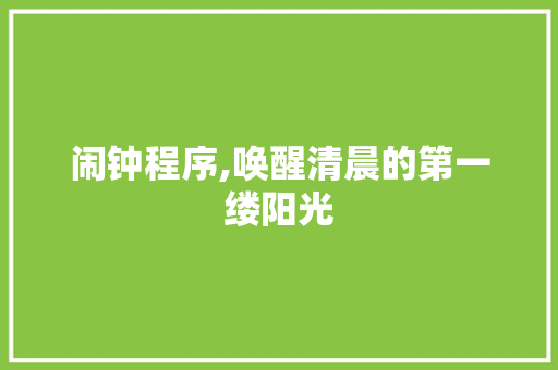 闹钟程序,唤醒清晨的第一缕阳光