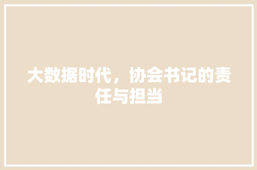 大数据时代，协会书记的责任与担当