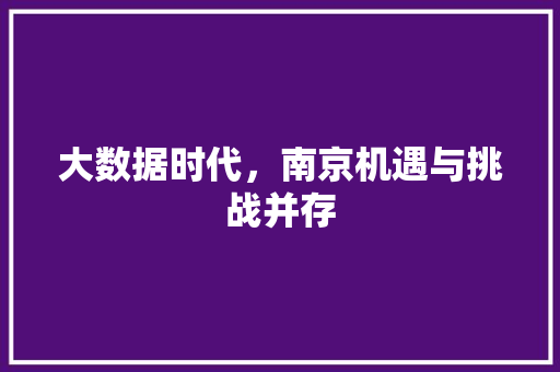 大数据时代，南京机遇与挑战并存