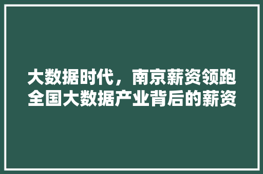 大数据时代，南京薪资领跑全国大数据产业背后的薪资秘密