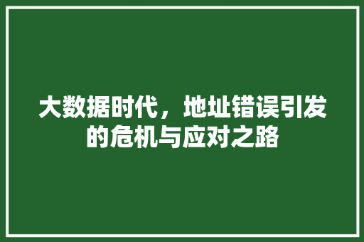大数据时代，地址错误引发的危机与应对之路