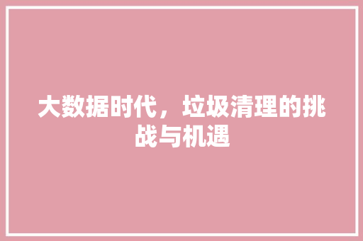 大数据时代，垃圾清理的挑战与机遇