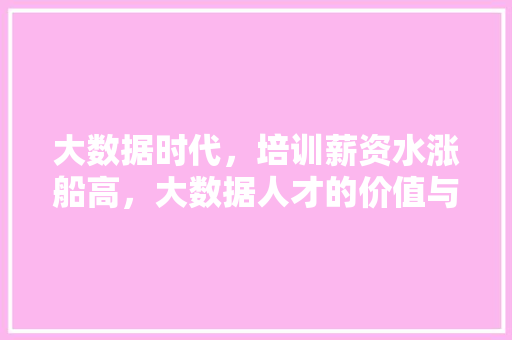 大数据时代，培训薪资水涨船高，大数据人才的价值与未来